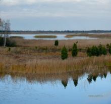 fotogrāfija